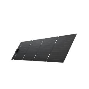 EcoFlow 60W Portable Solar Panel | USB-C Charger